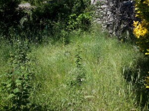 Le Chier 1