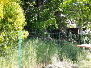 Le Chier 1