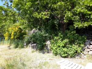 Le Chier 1